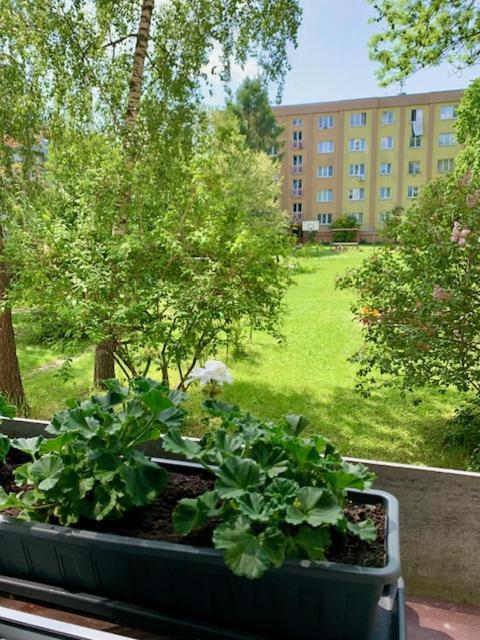 Apartman Snyt Primka Όλομουτς Εξωτερικό φωτογραφία
